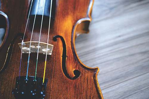 musical instrument brown and black violin violin